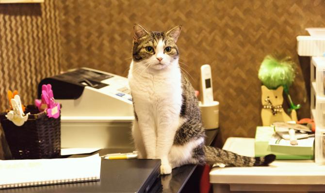 【大学生に送る】恋愛でも仕事でも気が利く人に見られるポイント!